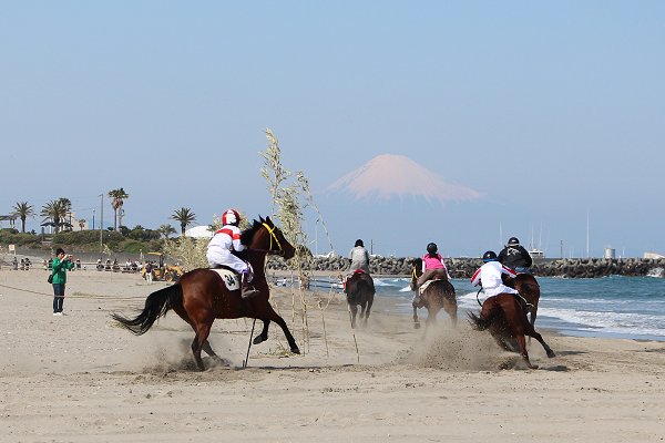 2014年レース