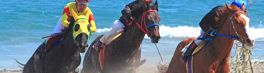 さがら草競馬大会