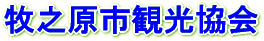 牧之原市観光協会